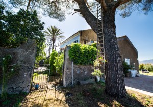 _U0C9283-Edit-2 copy